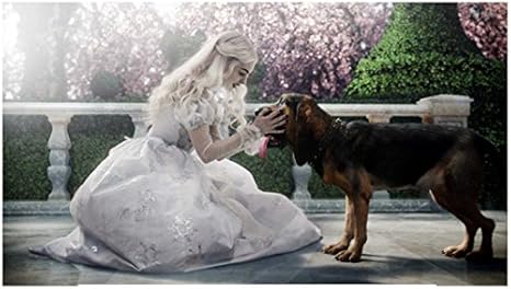 hathaways dog show supplies