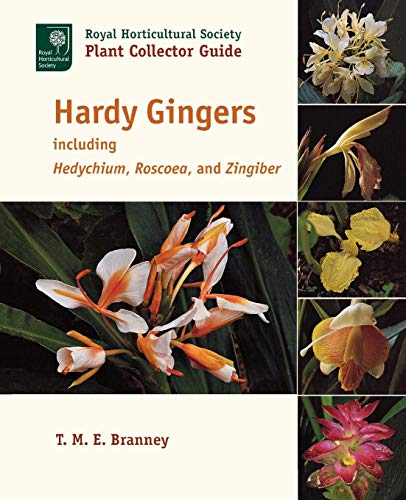 Hardy Gingers: including Hedychium, Roscoea, and Zingiber by T. M. E. Branney