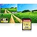 Transcend 256 GB High Speed 10 UHS-3 Flash Memory Card 95/60 MB/s (TS256GSDU3)