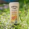 Hawaiian-Tropic-Satin-Protection-Sun-Lotion-SPF-30-180ml Hawaiian Tropic Satin Protection Sun Lotion (SPF 30, 180ml)