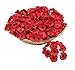 NAVA CHIANGMAI Red Poppy Mulberry Paper Flower Scrapbooking Wedding Doll House Supplies Card Artificial Scrapbook Decorations Greeting Cards