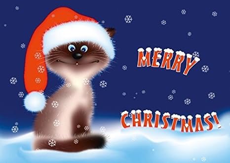 12 Cartoline Di Natale Divertenti Con Il Gatto Di Edition Colibri Amazon It Cancelleria E Prodotti Per Ufficio