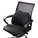 Dreamer Car Mini Supportive Chair Cushion Lumbar Pillow Design for Lower Back Pain Relief, Memory Foam Back Support for Office Chair/Computer Chair/Home/etc, Black