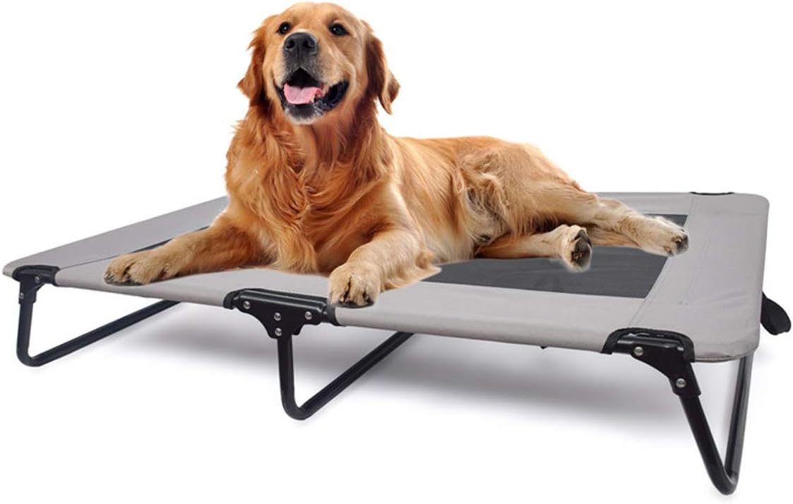 chew proof raised dog bed