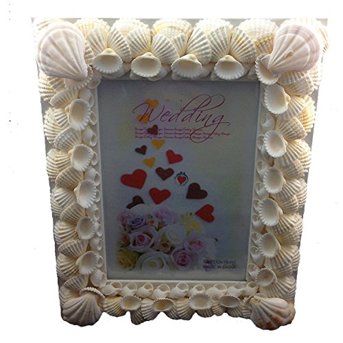3.5x5" hand crafted natural white seashell shell p…