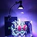 KINGBO Gooseneck Clamp Clip Holder Adjustable and Flexible Aquarium/Grow Light Bulb with E26 Socket On/Off Switch for Fish Coral Reef Nano Tanks & Indoor Desk Plants.