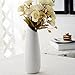 Jusalpha 9 Inches Tall Elegant Home Decor Ceramic Vase 01 (White, 1)