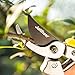 Jardineer Sharp and Durable Bypass Pruning Shear, Garden Scissors with Safety Lock, Tree Trimmers Secateurs, Cut Easy Hand Pruner, Perfect Gardening Clippers for Gifts