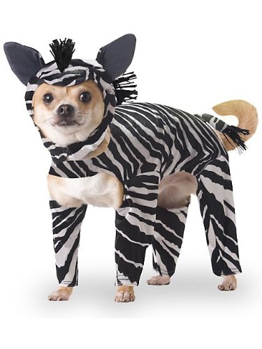 Animal Planet PET20100 Zebra Dog Costume