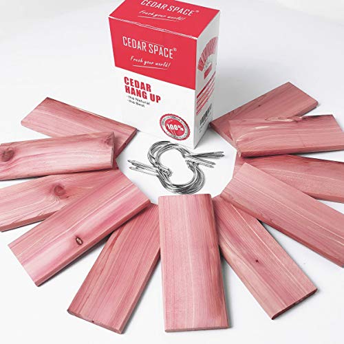 Cedar Space Cedar Hang Ups - Cedar Blocks for Closet Storage, 100% Nature Aromatic Red Cederwood Home Decor (Cedar Hang ups 11pcs)