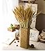 YSBER 100 PCS Dried Branch Wheat &Drying of Natural Wheat Stem for Christmas Natural Wedding Home Office Decor … (Wheat)