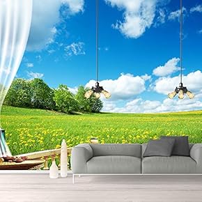 Wall Murals for Bedroom Great View from Balcony Removable Wallpaper Peel and Stick Wall Stickers - 66x96 inches