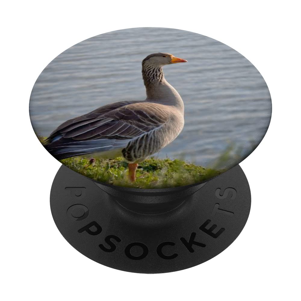 Goose PopSockets Swappable PopGrip