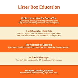Amazon Basics Large Cat Litter Box with High