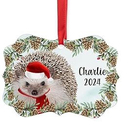Four Toed Hedgehog Christmas Ornament 2024
