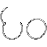 365 SLEEPERS 2PCS Titanium Implant Grade 16G Septum Jewelry Hinged Segment Ring Body Piercing Hoop Lip Rings Helix Cartilage Rook Sleeper Earrings Nickel Free Hypoallergenic 6mm – 16mm