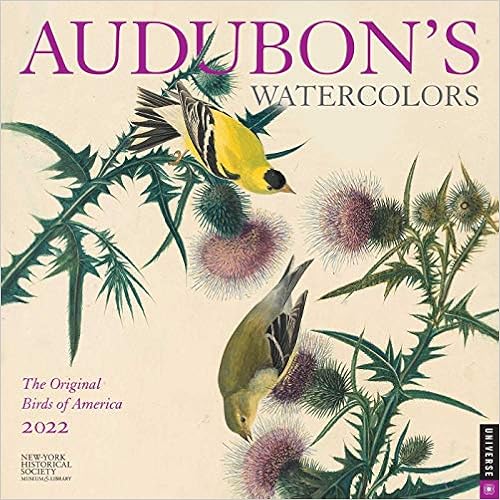 Audubon's Watercolors 2022 Wall Calendar: The Original Birds Of America: New-York Historical Society The: 9780789340238: Amazon.com: Books
