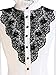 Choies Women's Vintage White with Black Lace Stand-Up Collar Puff Long Sleeve Shirts