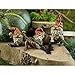 Top Collection Miniature Fairy Garden and Terrarium Garden Gnome Statue