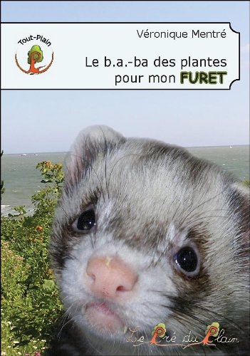 Le  b.a.-ba des plantes pour mon furet