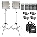 Neewer 2-Pack Bi-Color Dimmable 480 LED Video Light and Stand Lighting Kit with 4-Pack Battery and Charger - 3200-5600K, CRI 96+ LED panel with U Bracket for Camera Photo Studio, YouTube Video Shooting