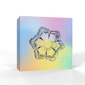 wall26 - Canvas Wall Art - Snowflake Theme...