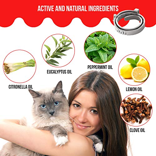 Fleebs Cat Flea for Cats | Cat Collar | Cat Flea Collars | Flea Tick Prevention | Cat Flea Treatment | Flea Protection | Pet Flea Collars | Fleas Ticks for Flea Control Cats