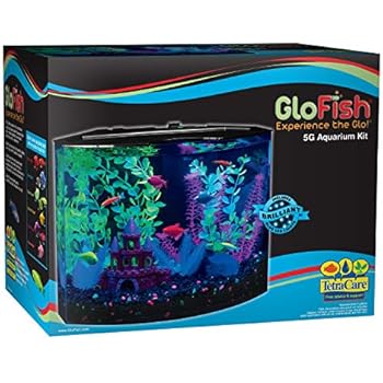 GloFish 29045 Aquarium Kit with Blue LED light, 5-Gallon
