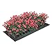 Seedling Heat Mat, Warm Hydroponic Heating Pad for Seedling, Cloning, Cutting, and Germination. 10