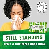 The Cheeky Panda Bamboo Facial Tissues Sustainable Plastic Free view 2
