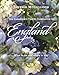 The Gardener's Travel Companion to England: What to See and Where to Stay by Janelle McCulloch