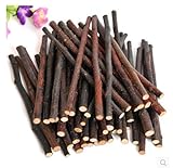 Purple Star 100g Pet Snacks Apple Sticks Chew Toy for Squirrel Rabbits Guinea Pigs Chinchilla Parrot (About 16-20 Sticks)