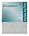 Accumulair Emerald 20x23x1 (Actual Size) MERV 6 Air Filter/Furnace Filters (4 pack)