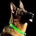 Pet Industries Metal Buckle LED Dog Collar, USB Rechargeable, Available in 7 Colors & 4 Sizes (Medium [15-21.5