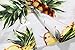 SSLR Men's Pineapple Button Down Hawaiian Short Sleeve Casual Shirt (X-Large, White)