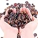 Swpeet 650 Pieces Assorted Sizes Resin Buttons 2 and 4 Holes Round Craft Buttons for Sewing DIY Crafts Manual Button Painting (Brown)