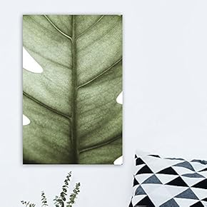 Canvas Wall Art - Closeup of Giant Green Leaf - Giclee Print Gallery Wrap Modern Home Art Ready to Hang - 12" x 18"