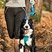 RUFFWEAR - Front Range Dog Leash, Twilight Gray