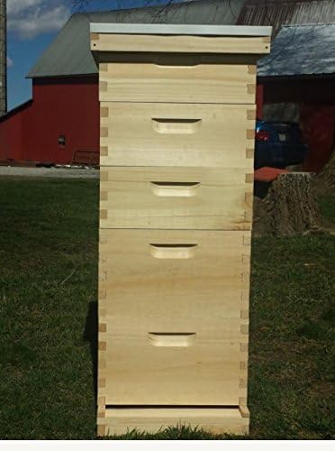 10 Frame 2 Deep 3 Medium with Wedge Style Frames Bee Hive Un-Assembled Beekeeping Langstroth Made in USA