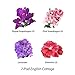 English Cottage Flower Seed Kit for Aerogarden (7-pod)