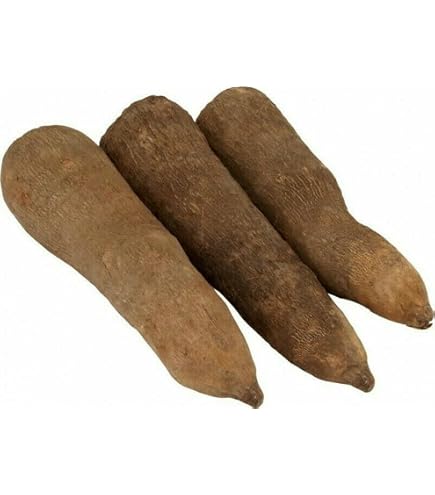 Amazon.com: Since 1979 Congo Fresh Yellow Yam Jamaican, 5 Pound