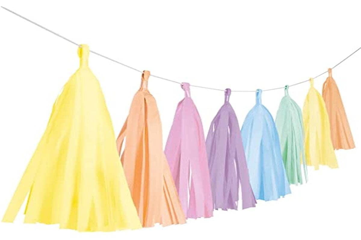 amscan 9904613 - Fringe Garland Pastel Rainbow, Length 3 m, Hanging Decoration, Birthday, Theme Party, Carnival
