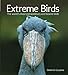 Extreme Birds: The World's Most Extraordinary and Bizarre Birds