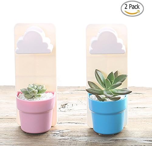 SQZW Cloud-Shaped Indoor Wall Mount Rainy Pot Wall-huang Flower Pot for Home Decoration, 2 Pack