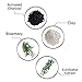 California Charcoal Activated Charcoal Mask by BulbHead, Blackhead Remover, Pore Minimizer, Deep Cleansing Black Mask (1 Pack)