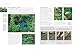 Designing and Creating a Cottage Garden: How to cultivate a garden full of flowers, herbs, trees, fruit, vegetables and livestock, with 300 inspirational photographs