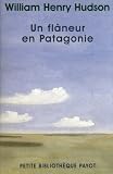 Un flâneur en Patagonie by