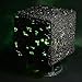 Star Trek Attack Wing: Oversized Borg Cube