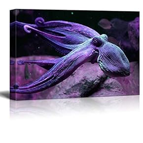 Canvas Wall Art - A Purple Octopus Swimming Under The Ocean - Gallery Wrap Modern Home Art | Ready to Hang - 12x18 inches