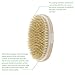 Foxnovo Bristle Body Brush without Handle